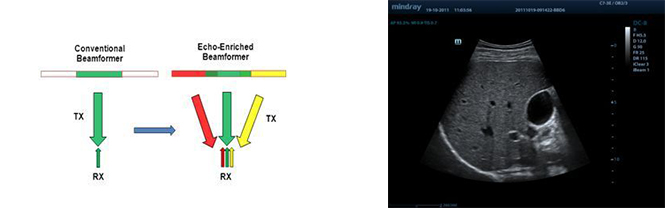 Echo-enriched Beam Forming