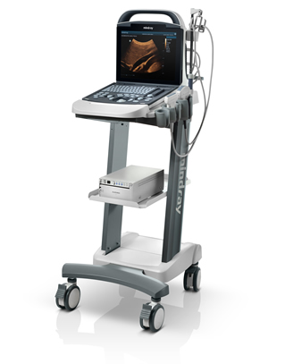 Ergonomics