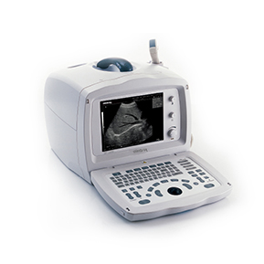DP-2200