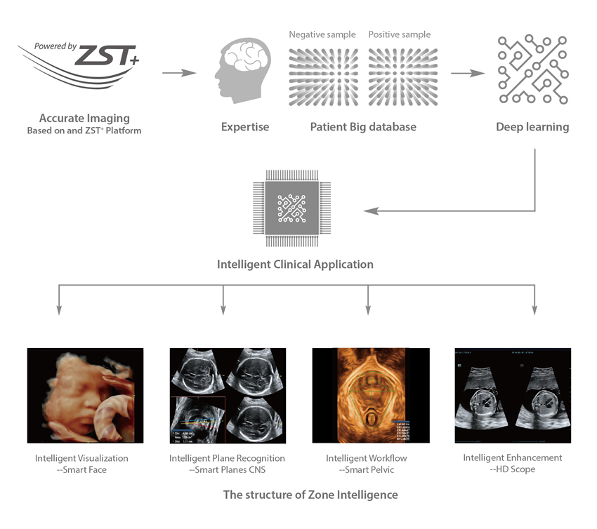 Clinical Intelligence